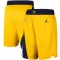 Shorts de Baloncesto Indiana Pacers Statement Edition Swingman