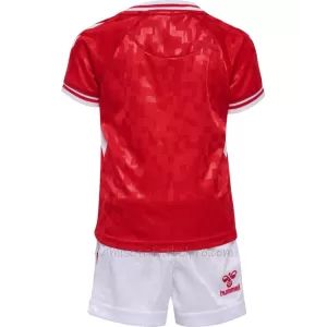Camiseta Dinamarca Niños 1ª Equipación Eurocopa 2024