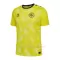 Camiseta Portero Dinamarca Hombre Eurocopa 2024 Amarillo