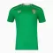 Camiseta Irlanda Hombre 1ª Equipación 24/25