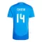 Camiseta Italia Federico Chiesa 14 Hombre 1ª Equipación Eurocopa 2024