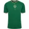Camiseta AS Saint-Étienne Hombre Aniversario 23/24