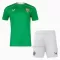 Camiseta Irlanda Niños 1ª Equipación 24/25