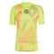 Camiseta Portero Hungría Hombre Eurocopa 2024 Amarillo
