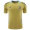 Camiseta Argentina Pre-Match Hombre 2024 Amarillo