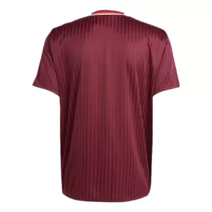 Camiseta Bayern Múnich Adidas Terrace Icon Hombre 24/25