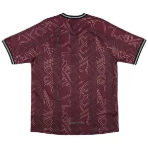 Camiseta Dinamarca Hombre 24/25 Edición Especial