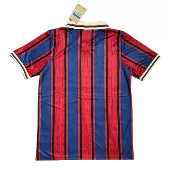 Camiseta FC Barcelona Hombre 24/25 Edición Especial