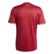 Camiseta FC Bayern Múnich Hombre Aniversario 24/25