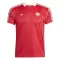 Camiseta Manchester United Terrace Icon Hombre 24/25