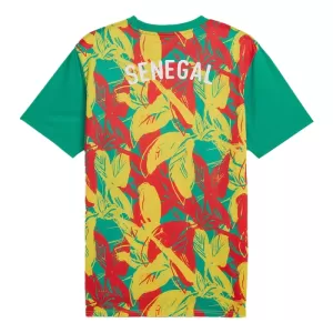 Camiseta Senegal Pre-Match Hombre 24/25