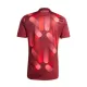 Camiseta Alemania Hombre 2ª Equipación 2025