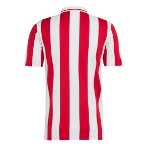 Camiseta Olympiakos 100th Hombre Aniversario 24/25
