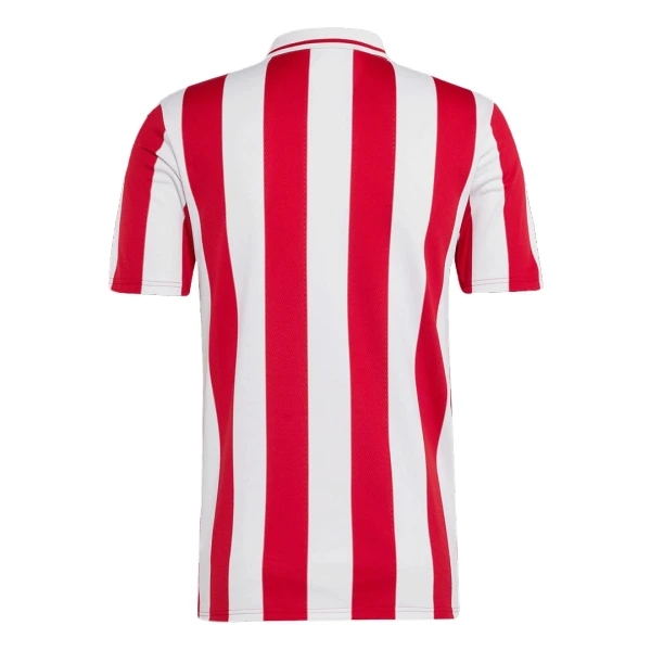 Camiseta Olympiakos 100th Hombre Aniversario 24/25