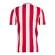 Camiseta Olympiakos 100th Hombre Aniversario 24/25