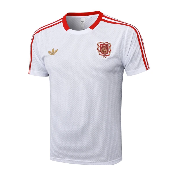 Camiseta FC Bayern Múnich Hombre Aniversario 24/25 Camiseta FC Bayern Múnich Hombre Aniversario 24/25