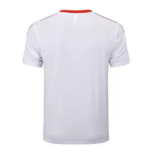 Camiseta FC Bayern Múnich Hombre Aniversario 24/25