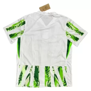 Camiseta Nigeria Hombre 2ª Equipación 25/26