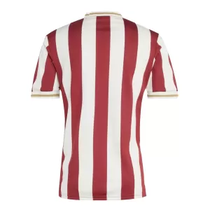 Camiseta FC Nurnberg Hombre Aniversario 24/25