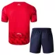 Camiseta Lille OSC Niños 1ª Equipación 25/26
