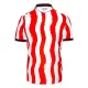 Camiseta Stoke City Hombre 1ª Equipación 25/26