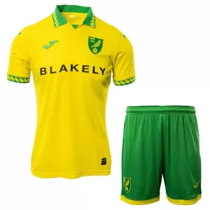 Camiseta Norwich City Niños 1ª Equipación 25/26
