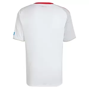 Camiseta FC Nurnberg Hombre 2ª Equipación 25/26