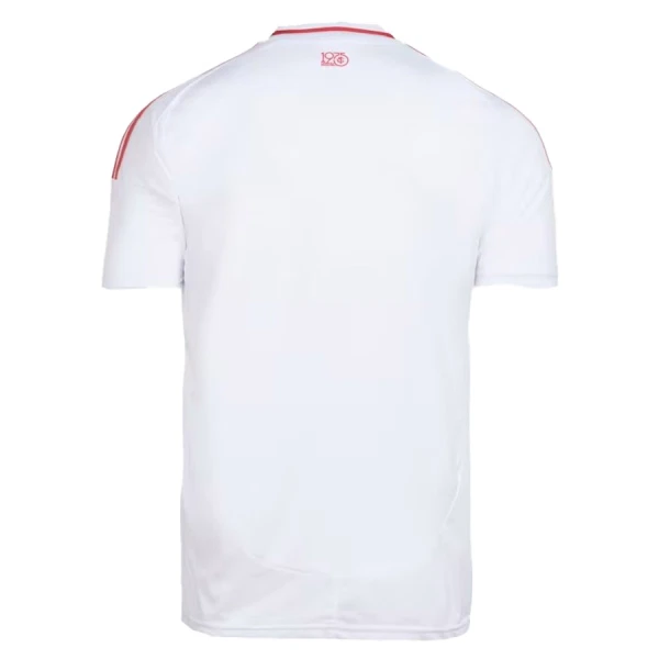 Camiseta Internacional Hombre 2ª Equipación 25/26