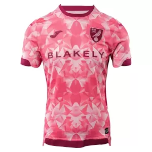 Camiseta Norwich City Hombre 3ª Equipación 25/26