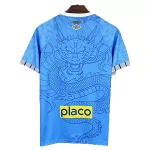 Camiseta Santos FC Hombre Dragón 25/26 Azul