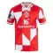 Camiseta FSV Mainz 05 Hombre 25/26 Edición Especial