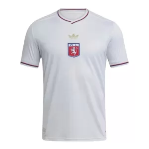 Camiseta Olympique Lyonnais Niños Aniversario 25/26