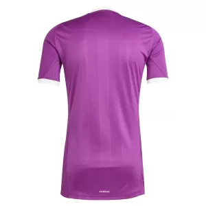 Camiseta Portero Aston Villa Hombre 25/26 Púrpura