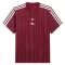Camiseta Arsenal Terrace Icons Hombre 25/26 Rojo