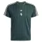 Camiseta Juventus Terrace Icons Hombre 25/26