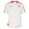 Camiseta SL Benfica Terrace Icons Hombre 25/26