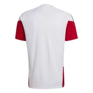 Camiseta De Entrenamiento Alemania Hombre Mundial 2026 Blanco