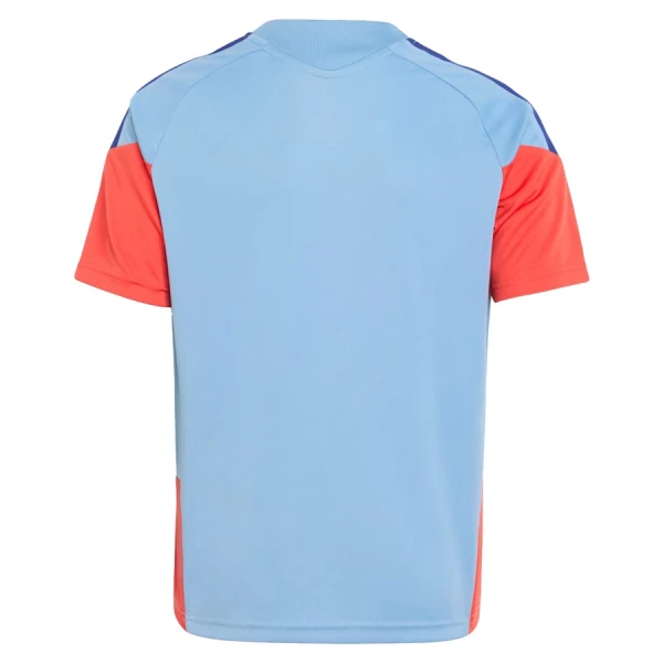 Camiseta De Entrenamiento Japón Hombre Mundial 2026 Azul