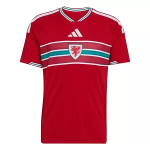 Camiseta Gales Hombre 1ª Equipación Mundial 2026
