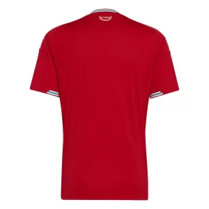 Camiseta Gales Hombre 1ª Equipación Mundial 2026