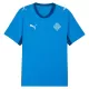 Camiseta Islandia Hombre 1ª Equipación Mundial 2026