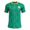 Camiseta Senegal Hombre 2ª Equipación Mundial 2026