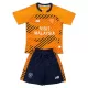 Camiseta Cardiff City Niños 3ª Equipación 25/26