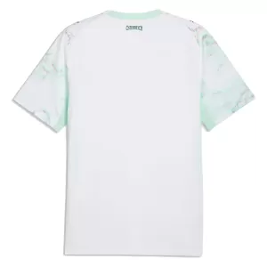 Camiseta Austria Hombre 2ª Equipación Mundial 2026