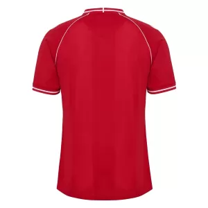 Camiseta Dinamarca Hombre 1ª Equipación Mundial 2026