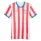 Camiseta Paraguay Hombre 1ª Equipación Mundial 2026