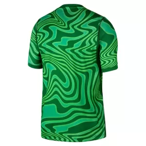 Camiseta Portero Brasil Hombre 1ª Equipación Mundial 2026 Verde