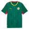Camiseta Senegal Hombre 2ª Equipación Mundial 2026