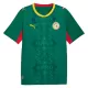 Camiseta Senegal Hombre 2ª Equipación Mundial 2026 Camiseta Senegal Hombre 2ª Equipación Mundial 2026