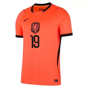 Camiseta Países Bajos Weghorst 19 Hombre 1ª Equipación Mundial 2026